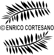Enrico Cortesano, fotografo